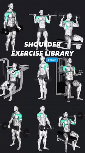 Effective Shoulder Exercises for Strength and Definition