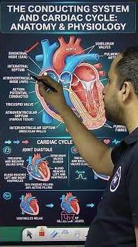 Body Fluids & Circulation in 3 Minutes ❤️ | Class 11 Biology Revision #neet #biology #aspirevertex