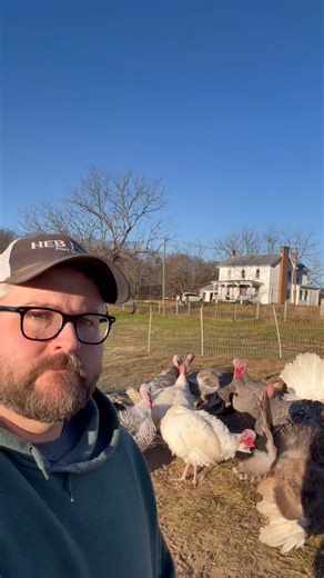 2.7K views · 2.4K reactions | Ducks are fowl 閭‍旅藍 #funny #comedy #farming #turkey #dadjokes | Hey Turkeys | Facebook