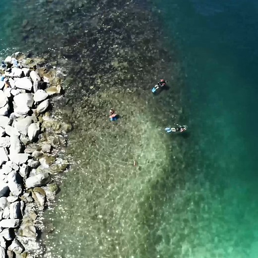 If you snorkel the East Pass Jetty there's a good chance you'll really enjoy it. | Visit Destin-Fort Walton Beach
