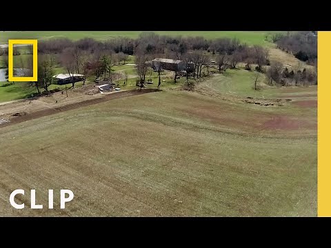 Creating a Food Forest | Farm Dreams