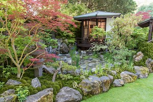 Japanese garden ideas to transform your outdoor space