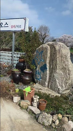경주 불국사 가는길3 (Way to Bulguksa Temple)#불국사# #gyeongju#경주여행#경주가볼만한곳#시골길