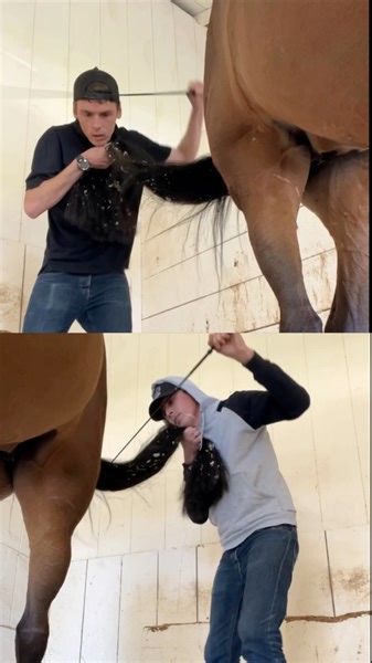 Smooth Criminal - 2CELLOTAILS version! Keira and I breaking out her cello tail for another masterpiece to share with you! The shavings in the strings give it that raspy sound. The real version is Smooth Criminal by 2CELLOS which is an all time favorite of mine! #horsesandhumor #horse #equestrian #cello #cellotail #2cellos #violin #violintail #smoothcriminal | Evan’s Horses & Humor