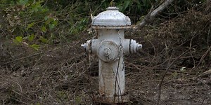 Who is responsible for making sure your fire hydrant is working in Jackson?