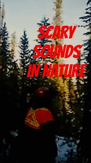 Top 5 Creepiest Sounds in Nature 🌿 | Scary Animal Noises That Will Haunt You! 🐾