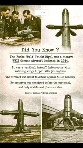 Focke-Wulf Triebflügel | Unfamous WW2 Aircrafts