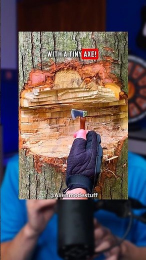 Cutting Down A Tree With A Tiny Axe 🪓