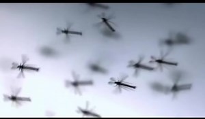 Senegal bane nonou 😂 | Seneweb.com