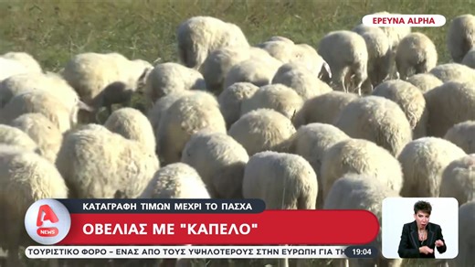 Οβελίας με "καπέλο"- Καταγραφή τιμών μέχρι το Πάσχα #alphanews | Alpha TV