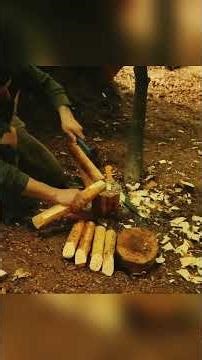 Handmade Forest Treehouse#survival #bushcraft