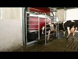 The Innovative Role of ROBOTICS in Modern Dairy Farming