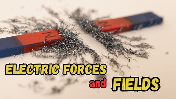 College Physics Chapter 16 Summary - Electric Forces and Fields