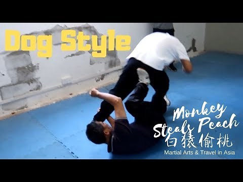 Dog Boxing - Fuzhou Groundfighting Kung Fu - Masters of Fujian bonus clip