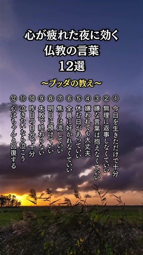 「心が疲れた夜」に効く仏教の言葉12選。ブッダ教え。#仏教 #ブッダの言葉 #ブッダの教え #仏教 #他人と比べない #自己肯定感 #心が軽くなる #メンタルケア #不安解消 #人間関係 #名言