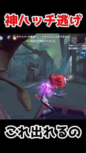 これ出れるの！？最高すぎたハッチ逃げ！【第五人格】【IdentityV】