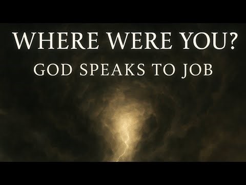 Day 14: Job 38-39 | When God Speaks