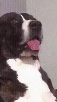 Let's play Geocards!