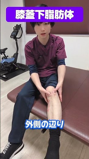 【膝の前の痛み】膝蓋下脂肪体が硬いと膝前面痛リスクが約61倍？超音波エラストグラフィーで判明した“お皿下ほぐし”の重要性 #痛み #理学療法士が解説 #膝