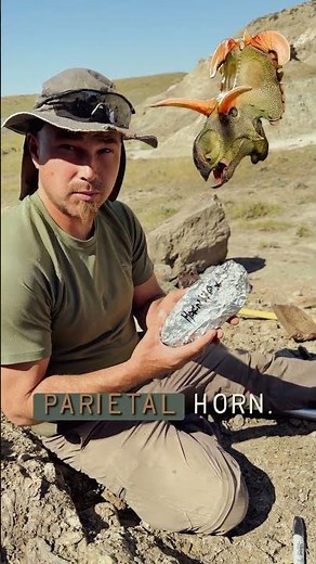 Coming Up Next on Field Season: Chasing Horned #dinosaurs in the Judith River Formation #Montana