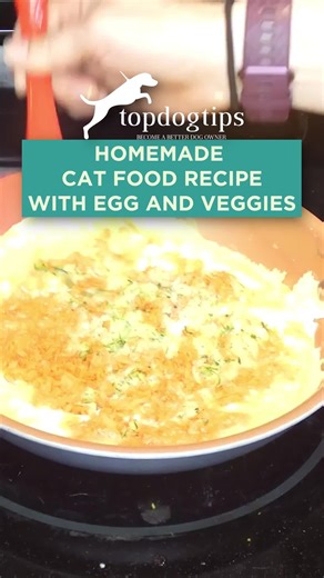 🐱🍲 Quick, easy, and purr-fectly healthy! This homemade cat food recipe is fresh, simple to make, and packed with the nutrients your kitty needs to thrive. 💛🐾 🍽️ Watch now get the full recipe here: https://topdogtips.com/homemade-cat-food-recipe-quick-and-easy/ #HomemadeCatFood #HealthyCats #CatNutrition #CatMomLife #CatDadLife #TopDogTips | Top Dog Tips