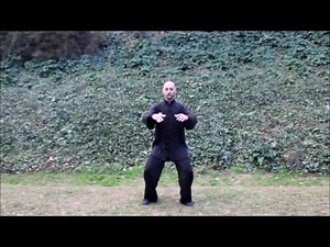 Wu Xing Qigong - 5 Elementos / Elements