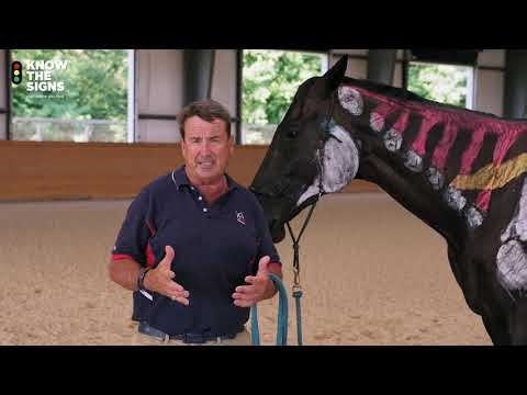 USEF Know the Signs: Way of Riding and Training