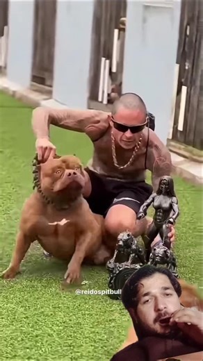 Newly Married 💞 Cute Couple Goals 😍 Caring Husband Wife Romantic Love💘 Romance WhatsApp Status yar.g