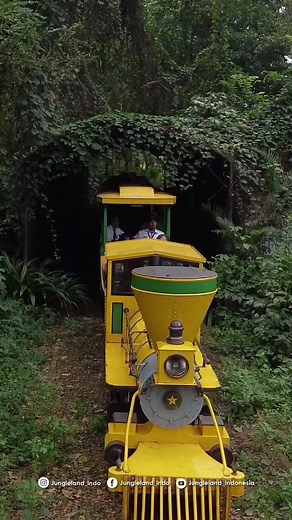 Jungle Train, salah satu wahana rekomendasi yang cuma ada di Jungleland nih. Kamu bisa bersantai sambil menikmati pemandangan hijau & mengitari luasnya area di Jungleland. Kebayang dong, gimana serunya berpetualang di Jungleland.... Buruan beli tiketnya sekarang di Loket Resmi Jungleland / online di ticket.jungleland.id #wahanabaru #junglemission #Jungleland #DuniaCeria #annualpass #JunglelandTEDUH #LiburanBarengBareng #PetualanganSeru #JunglelandSentul #JunglelandSeru #Bahagia #bogor #jakarta #