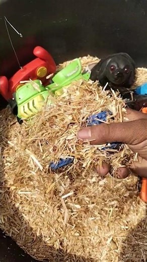 Minutes Satisfying with Unboxing Hello Kitty Kitchen Set | How to Make Mini Kitchen Set ASMRl