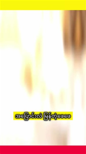 ဒီလိုဖေဖေတွေရှိကြလား #cat #fly #animals