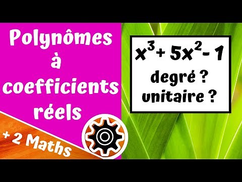 Polynomials with real coefficients