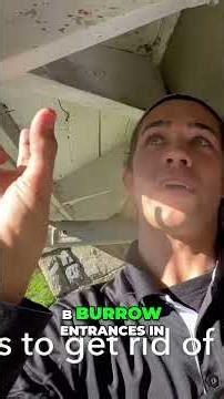 Stop Carpenter Bees The Secret Painting Trick!