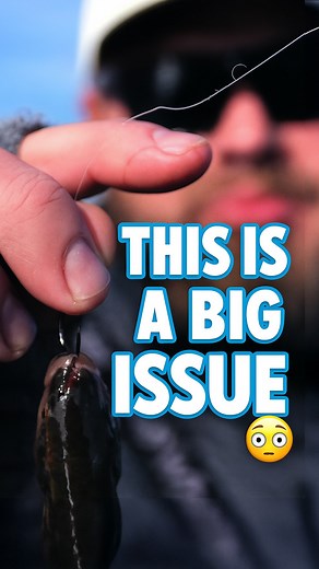 10K views · 362 reactions | Have you learned this one the hard way too? Take the time to re-tie when you’re riggin’ chubs, or risk heartbreak on your next big bite.  Catch the full Fall Walleye Fishing vid on the Target Walleye YouTube channel! | Target Walleye | Facebook