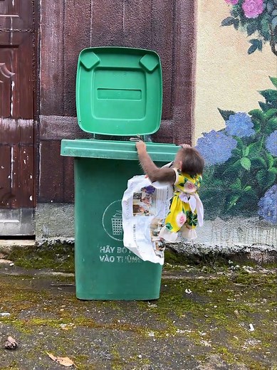 Baby Monkey Moon's Messy Adventure