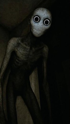 Secret Rooms Super Bear Adventure