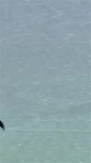 MacBook und Abenteuer in den Bergen: Eine Reise