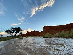 10K views · 318 reactions | The Desert is coming alive and now is the...