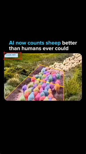 AIPulze | AI Tools & Technology on Instagram: "Counting sheep used to be a bedtime myth. Now it is a computer vision task. This AI vision system tracks and counts livestock in real time using object detection and spatial mapping, reaching up to 99.7 percent accuracy. No tags. No manual counting. No human error. Every animal is identified, tracked, and logged as it moves through the frame. What used to take hours now happens instantly. This is not just farming tech. This is the quiet automation o