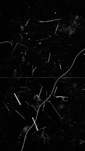 Long Beach Dub Allstars x @passafire Fall Tour. Oct 11 - 29. Low ticket count. https://www.lbdamusic.com/tour | Long Beach Dub Allstars