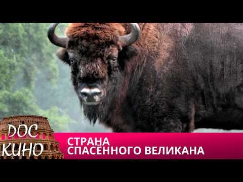 🎭СТРАНА СПАСЁННОГО ВЕЛИКАНА🌎 ДОКУМЕНТАЛЬНОЕ КИНО 🎆 2021