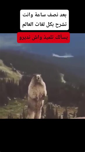 Mourad Bein English on Reels