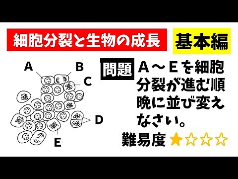 中3理科「細胞分裂と生物の成長」基本編