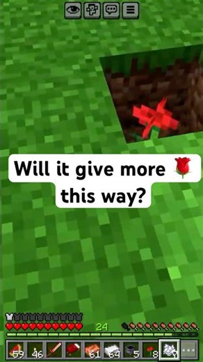 Testing Minecraft Bonemeal on Flowers | Minecraft Survival
