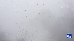 64K views · 1.3K reactions | An epic example of thundersnow -- you'll want to turn up the volume for this! | The Weather Channel | Facebook