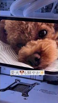 Just placing it down makes it stylish ✨ I tried setting up STORM's pure white gaming PC, Ryukai 2...