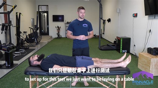 测试 主动屈髋 Active Hip Flexion Assessment