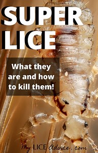 Super Lice! What They Are, How to Kill Them, and How to Prevent Them