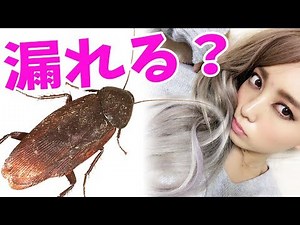 おしっこ漏れそうなギャルにゴキブリドッキリ仕掛けたら大変な事に