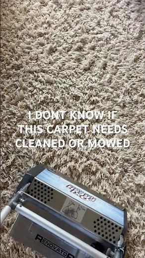This carpet needs mowed first #oxifresh #carpetcleaning